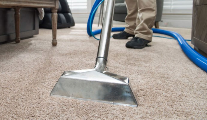 Professional carpet cleaning service