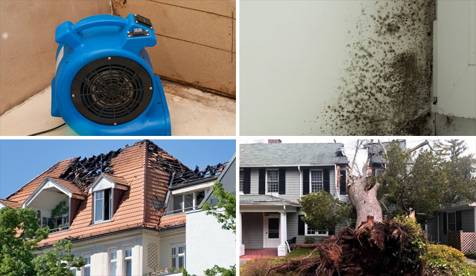 Collage of water damage restoration equipment, mold damaged wall, fire damaged house, storm damaged roof