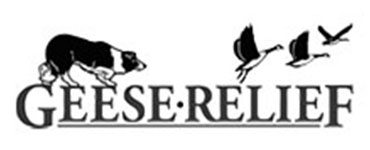 Geese Relief Website