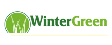 WinterGreen Synthetic Grass