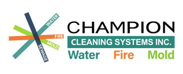 Champion Cleaning Systems