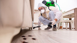 Pest Control