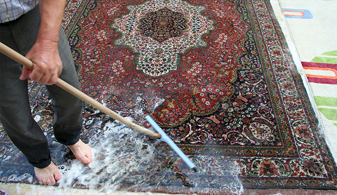 Professional carpet cleaning service