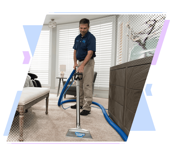 professional carpet cleaning service