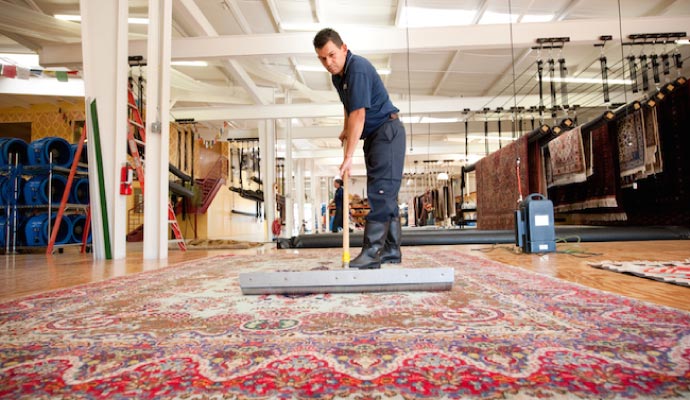 A technician in a dedicated cleaning facility uses a specialized tool on a large, ornate oriental rug, with other rugs hanging in the background.