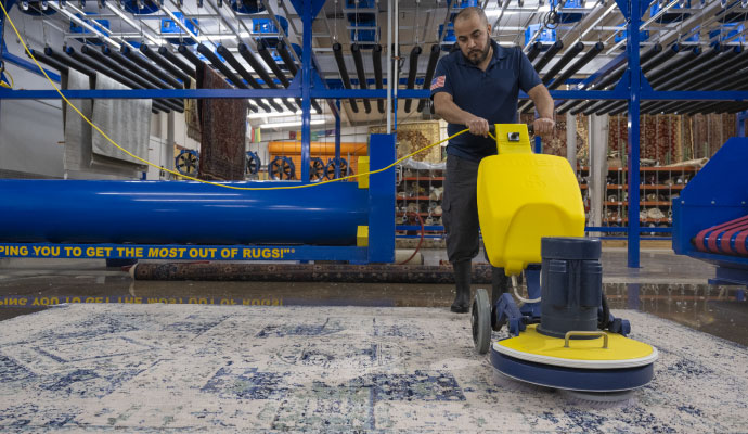 Person cleaning rug with equipment